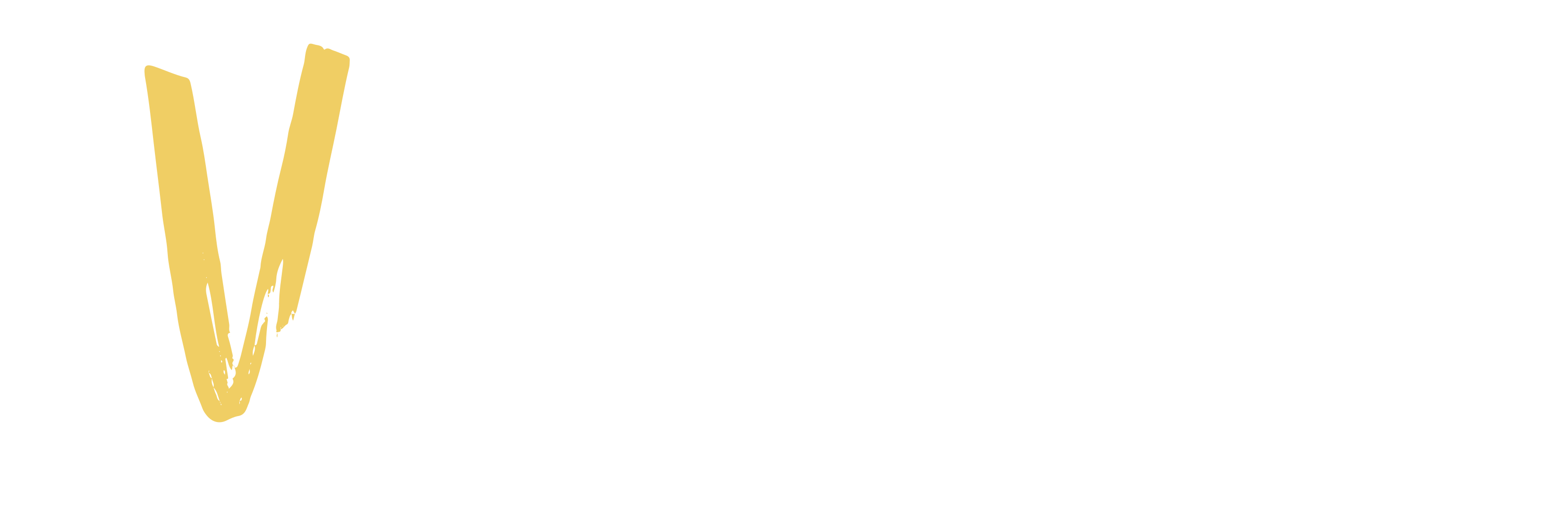 VeroCanvas